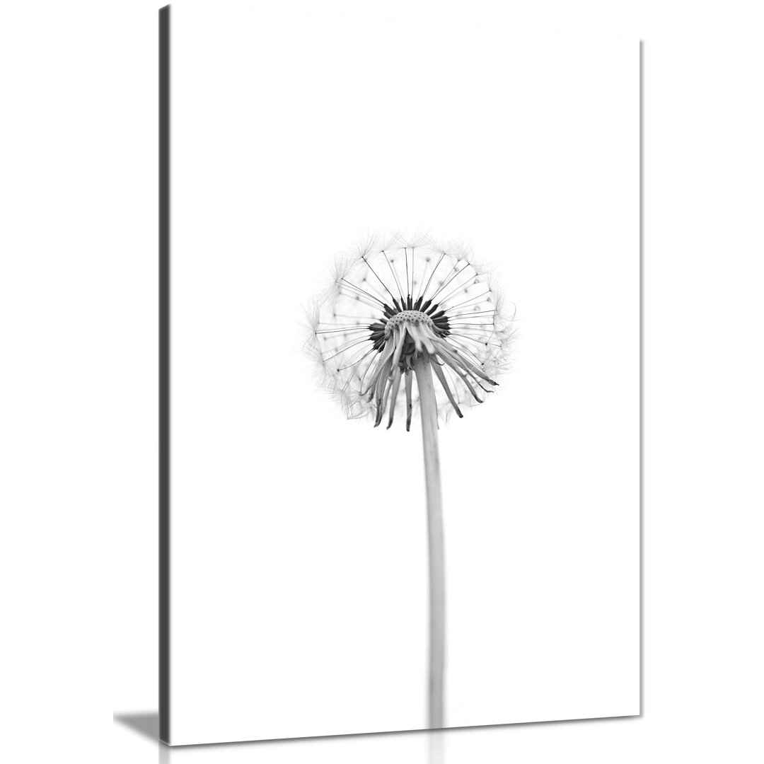 Bright White Dandelion Backside Artistic - Wrapped Canvas Art Prints