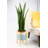 Olivencia Planter-26077234-25603330