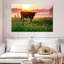 Alvord Cow Sunrise-107687662
