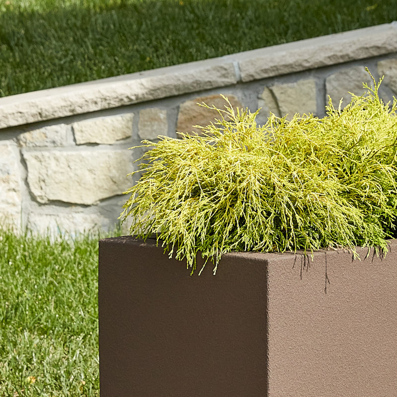 Argentine Trough Planter, Chocolate Brown