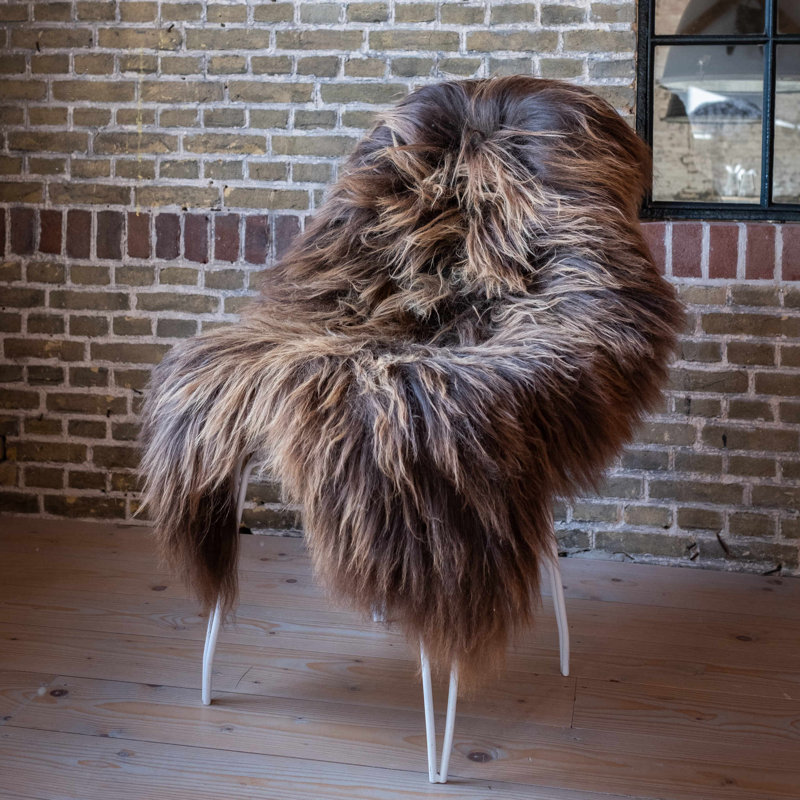 Alfredrick Novelty 70 cm x 105 cm Sheepskin Hand Woven Area Rug