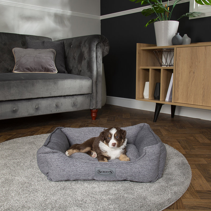 Polyester Pet Bed, Dark Grey, 17cm H x 50cm W x 40cm D