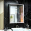 Armoire à pharmacie avec miroir et 3 tablettes Cyrille-2003309848-2003309849