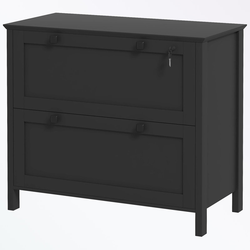 Metal frame File Cabinet with 2 Drawers and Keys