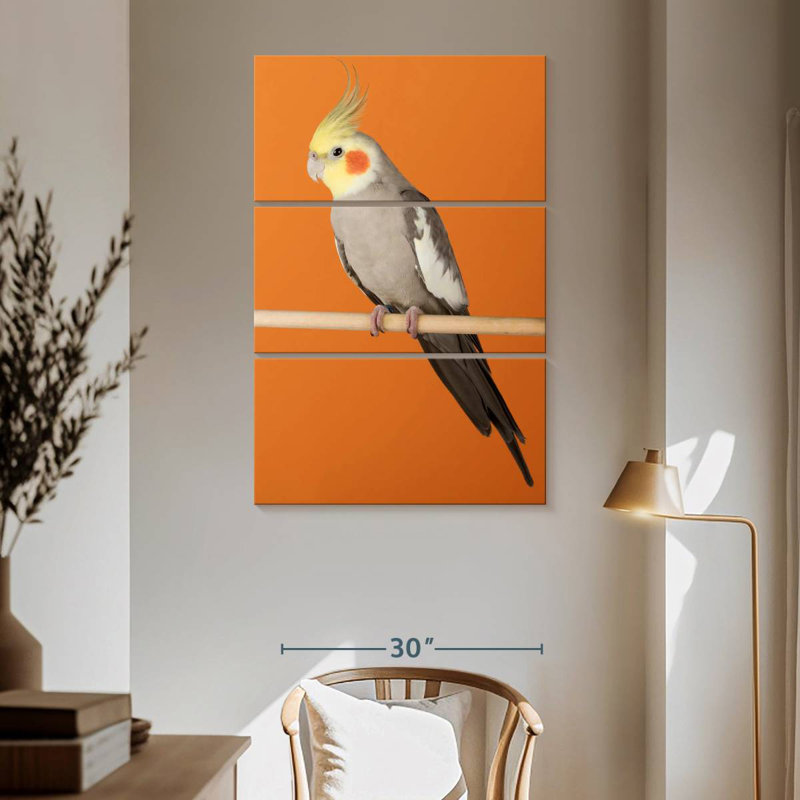 Brampt Cockatiel, 65" H x 42" W