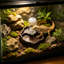 Distributeur d'eau automatique pour reptiles animaux tortues lézards reptiles poulets-131407916