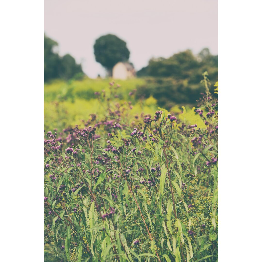 Leinwandbild Roadside Flowers von Aledanda