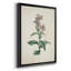 Toile encadrée de qualité supérieure Traditional Botanical II - prête à être accrochée-1499685928-1499685935