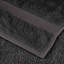  Washcloths 2 Pcs Cotton-1688662426