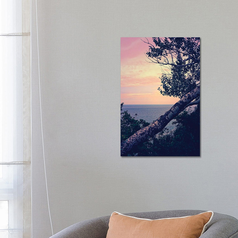 Birch At The Overlook by Michelle Calkins - Wrapped Canvas Print
