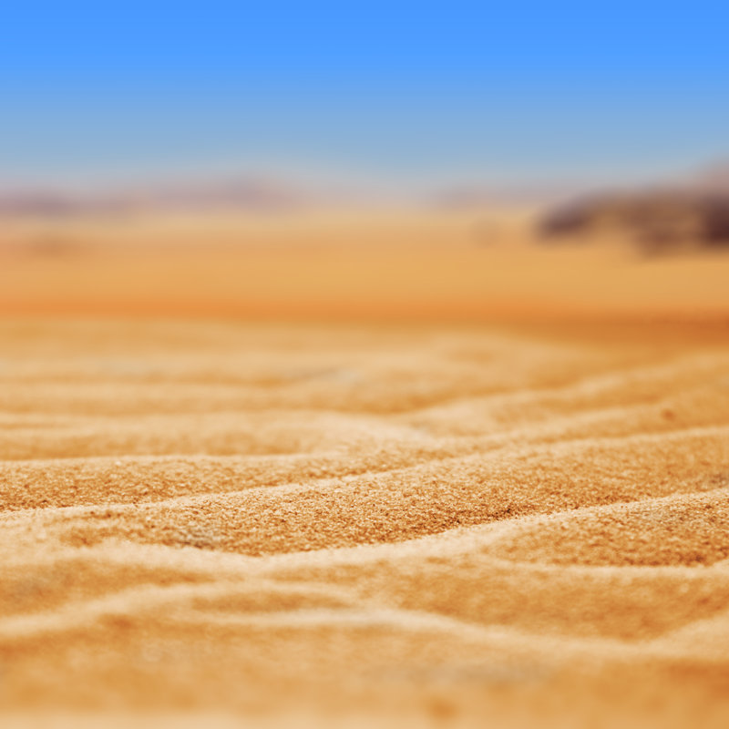 Desert Sand - Wrapped Canvas Print, 51cm H x 51cm W x 3.8cm D
