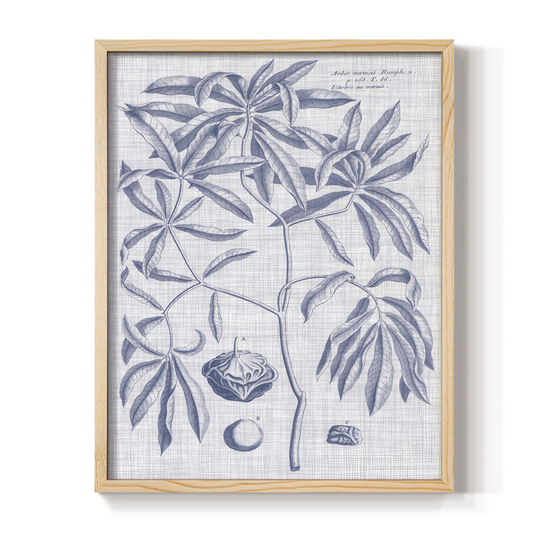 Marine et lin botanique, reproduction encadrée en V - bois massif, Naturel, H 11 po x l 9 po