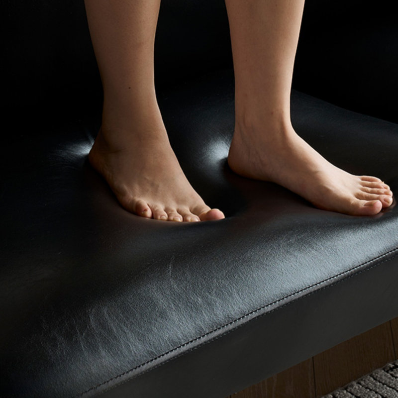 Petit canapé noir pour salon compact