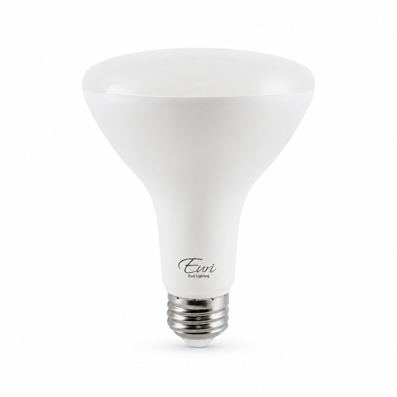 Ampoule DEL Euri Lighting BR30, 9 W, 810 lm, équivalent 65 W, 2700 K, culot E26, modulable, CEC/JA8, UL, 2700 Kelvins