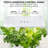 Ivation Hydroponic Unit