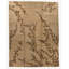 Floral Area Rug-537171697