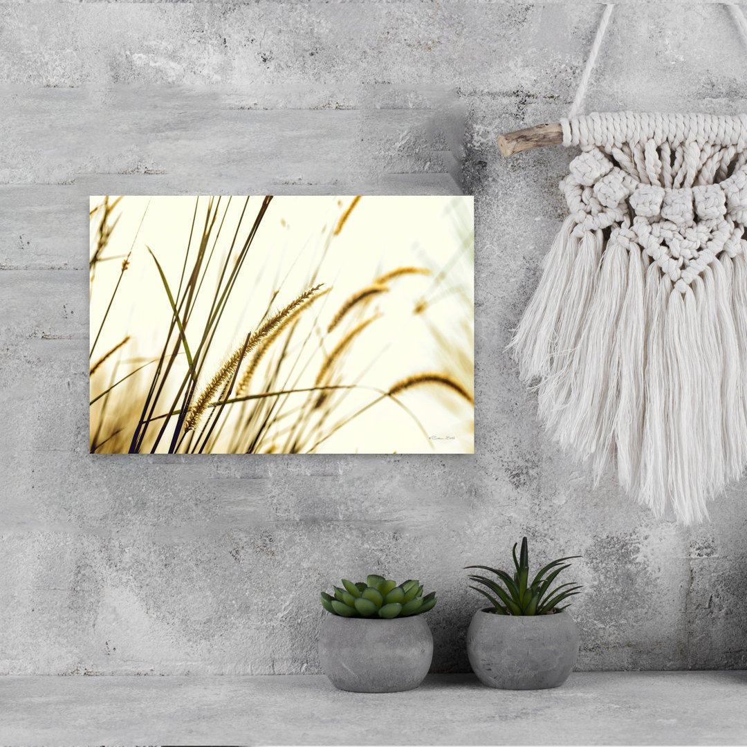 Foxtail Abstract Contemporary Landscape Nature Wall Art Print