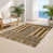 Rectangle 2' x 3' selected