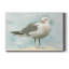 Simple goéland I - impression sur toile tendue-407889202