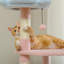 Tour pour chat à plusieurs niveaux, grattoir recouvert de sisal, appartement pour chat, perchoir supérieur, rampe, boule pelucheuse-328949504