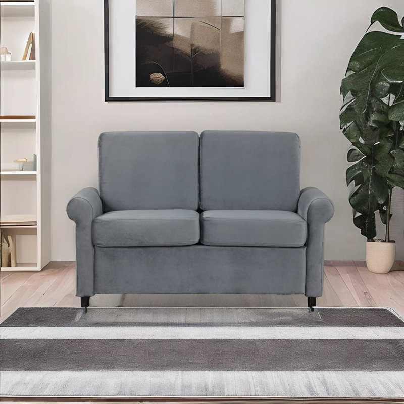 Canapé-lit en velours de 57,4 po Adrianno, Velours gris