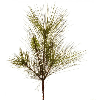 Faux plantes et arbres Canton