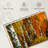 Harnek White Birch Tree Trunk-107709431
