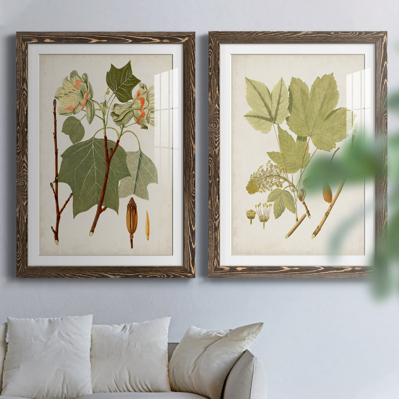 Feuilles antiques III - ensemble de 2 reproductions d'art sur papier encadré, H 31,5 po x l 47 po x P 1,5 po