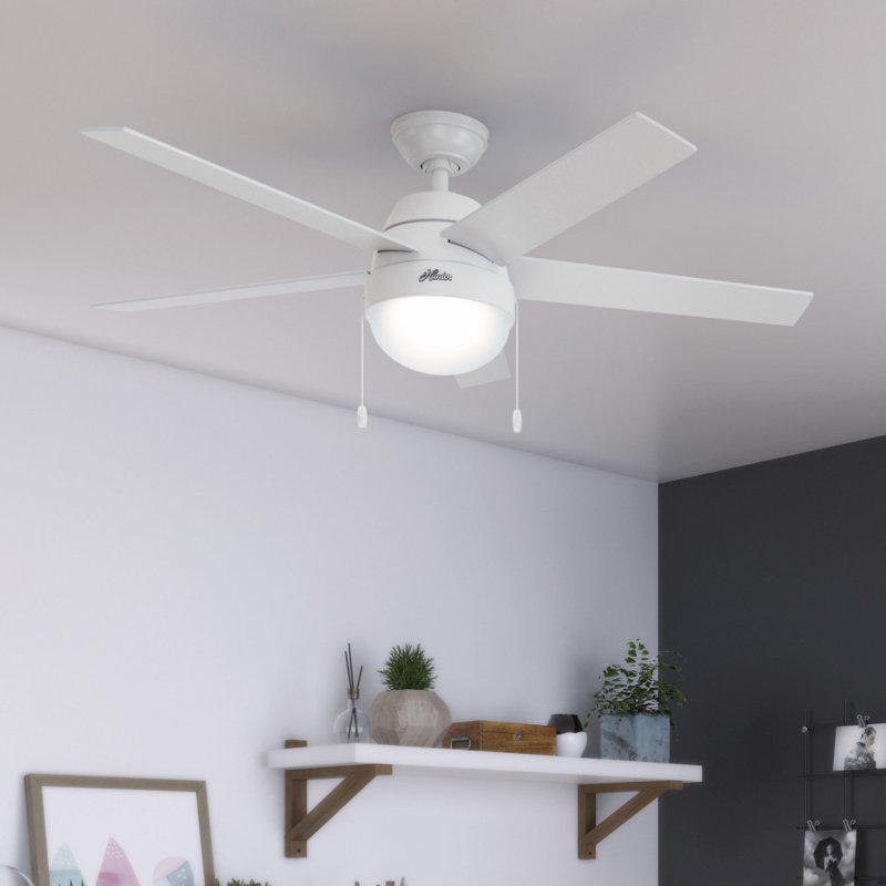 52" Anslee 5 - Blade Standard Ceiling Fan with Pull Chain and Light Kit Included, White