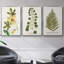 Ensemble de 3 pièces encadrées sur toile Nature-97709353-97709354