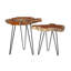 Ensemble de tables d'appoint 2 pièces Binoche