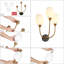 Applique murale 3 lumières Breeana