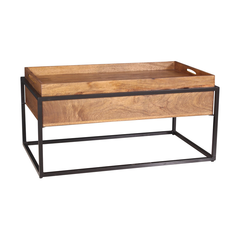 Lehoux Frame Coffee Table with Storage