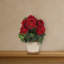 Pièce maîtresse géraniume en vase