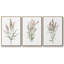 3 pièces Dicat Botanical I-97757802-97757803