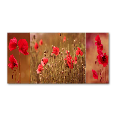Maki Triptych - No Frame Print on Canvas
