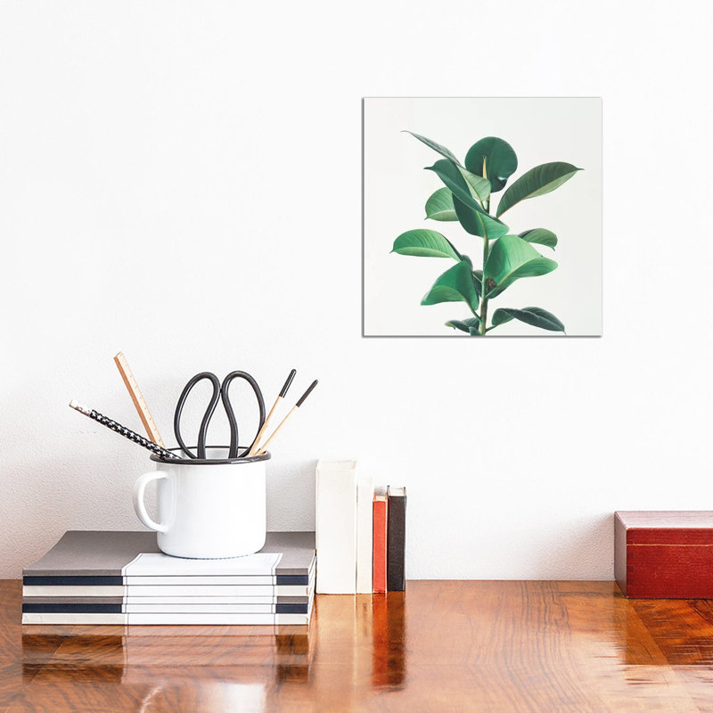 Rubber Fig by Cassia Beck - Wrapped Canvas Gallery-Wrapped Canvas Giclée, 30.48 cm H x 30.48 cm W