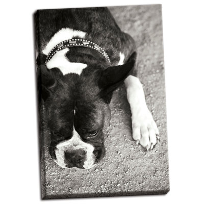 " Boxer " by Karyn Millet
