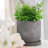 Decorative Line Pattern Planter for Outdoor and Indoor Home Decor - Stylish Cement Flower Pots for Living Room and Patio - 6", Gray & White