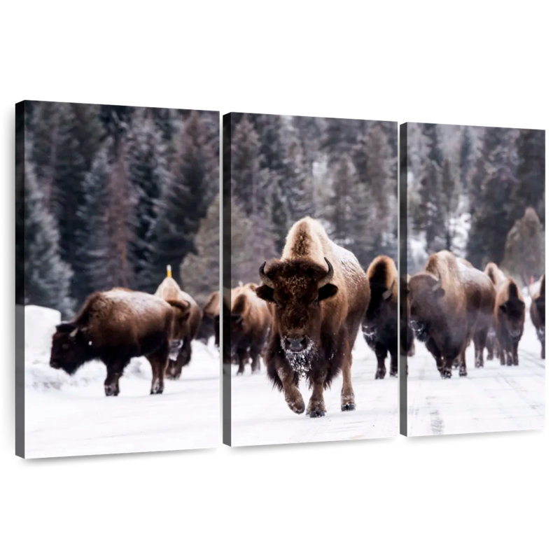 Bisons d'hiver Brampt, H 20 po x l 33 po