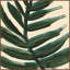 Bracken Breeze Right Print