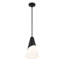 Luminaire suspendu 1 lumière Brian Patrick Flynn Tori-1554776415