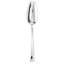 Imagine Stainless Steel Serving Spoon