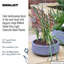 Fibreglass Plant Pot-39265646-39265644
