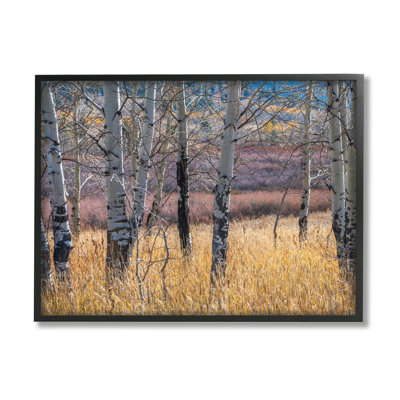 " Birch Trees " by Nancy Crowell