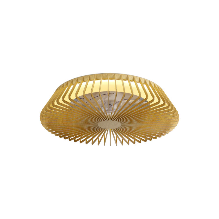 Himalaya 63cm Ceiling Fan with LED Lights