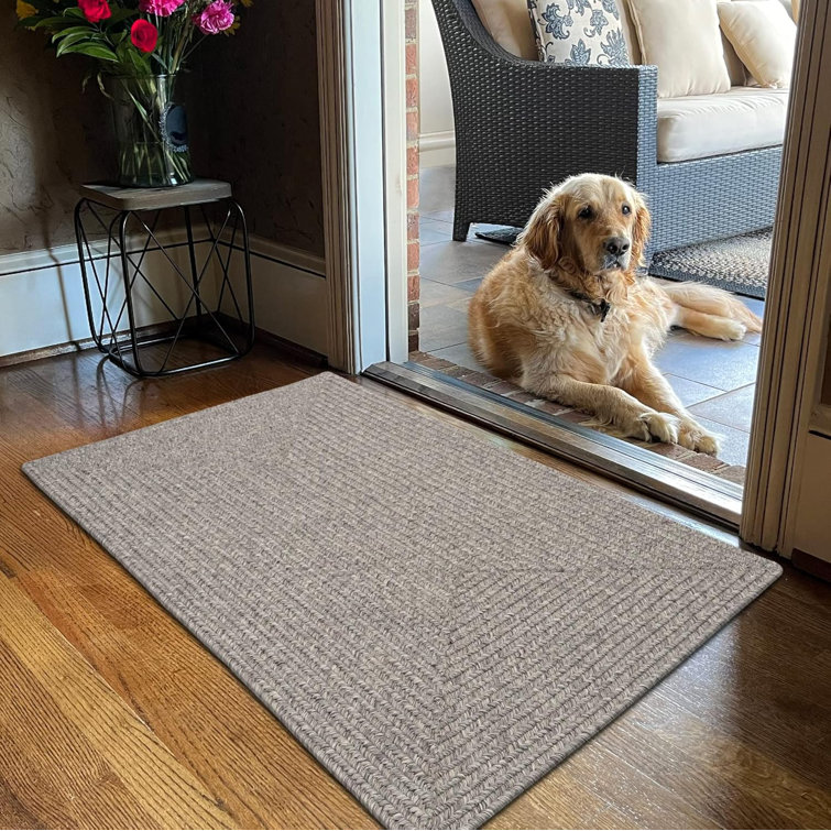  Braided Rug Washable Indoor/Outdoor Weatherproof Beige/Gray Rug