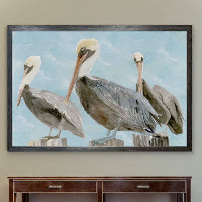 " Soft Brown Pelican III "