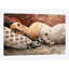 «The Invader» par Didier Laurenco - reproduction sur toile tendue-72557670-72557664-28198689