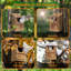 Boîte de nidification en bois Owl Haven